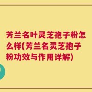 芳兰名叶灵芝孢子粉怎么样(芳兰名灵芝孢子粉功效与作用详解)