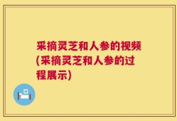 采摘灵芝和人参的视频(采摘灵芝和人参的过程展示)