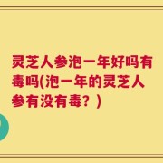 灵芝人参泡一年好吗有毒吗(泡一年的灵芝人参有没有毒？)