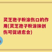 灵芝孢子粉涂伤口的作用(灵芝孢子粉涂抹创伤可促进愈合)