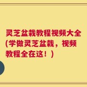 灵芝盆栽教程视频大全(学做灵芝盆栽，视频教程全在这！)