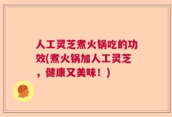 人工灵芝煮火锅吃的功效(煮火锅加人工灵芝，健康又美味！)