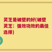 灵芝是破壁的好(破壁灵芝：强效功效的最佳选择)