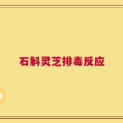 石斛灵芝排毒反应