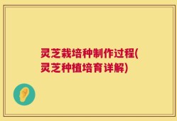 灵芝栽培种制作过程(灵芝种植培育详解)