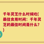 千年灵芝什么时候吃(最佳食用时间：千年灵芝的最佳时间是什么？)
