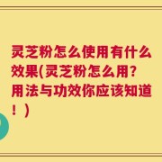 灵芝粉怎么使用有什么效果(灵芝粉怎么用？用法与功效你应该知道！)