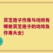 灵芝孢子作用与功效有哪些灵芝孢子的功效及作用大全)
