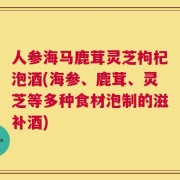 人参海马鹿茸灵芝枸杞泡酒(海参、鹿茸、灵芝等多种食材泡制的滋补酒)