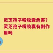 灵芝孢子粉胶囊危害？灵芝孢子粉胶囊有副作用吗