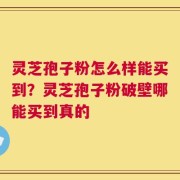 灵芝孢子粉怎么样能买到？灵芝孢子粉破壁哪能买到真的