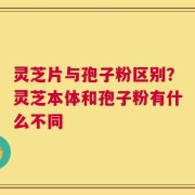 灵芝片与孢子粉区别？灵芝本体和孢子粉有什么不同