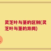 灵芝叶与茎的区别(灵芝叶与茎的异同)