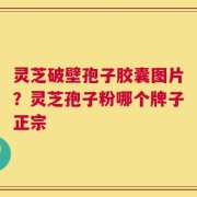 灵芝破壁孢子胶囊图片？灵芝孢子粉哪个牌子正宗