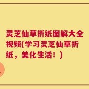 灵芝仙草折纸图解大全视频(学习灵芝仙草折纸，美化生活！)