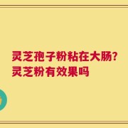 灵芝孢子粉粘在大肠？灵芝粉有效果吗