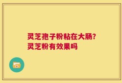 灵芝孢子粉粘在大肠？灵芝粉有效果吗