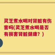 灵芝煮水喝对肾脏有伤害吗(灵芝煮水喝是否有损害肾脏健康？)