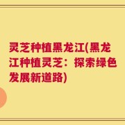 灵芝种植黑龙江(黑龙江种植灵芝：探索绿色发展新道路)