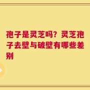 孢子是灵芝吗？灵芝孢子去壁与破壁有哪些差别