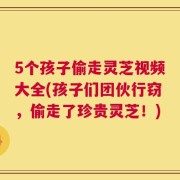 5个孩子偷走灵芝视频大全(孩子们团伙行窃，偷走了珍贵灵芝！)
