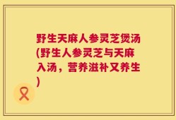 野生天麻人参灵芝煲汤(野生人参灵芝与天麻入汤，营养滋补又养生)