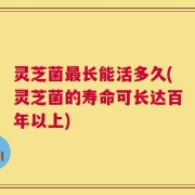 灵芝菌最长能活多久(灵芝菌的寿命可长达百年以上)