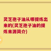 灵芝孢子油从哪提炼出来的(灵芝孢子油的提炼来源简介)