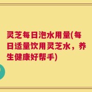 灵芝每日泡水用量(每日适量饮用灵芝水，养生健康好帮手)