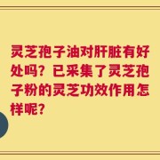灵芝孢子油对肝脏有好处吗？已采集了灵芝孢子粉的灵芝功效作用怎样呢？