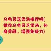 乌龟灵芝煲汤推荐吗(推荐乌龟灵芝煲汤，补身养颜，增强免疫力)