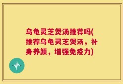 乌龟灵芝煲汤推荐吗(推荐乌龟灵芝煲汤，补身养颜，增强免疫力)