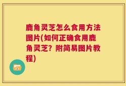 鹿角灵芝怎么食用方法图片(如何正确食用鹿角灵芝？附简易图片教程)
