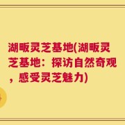 湖畈灵芝基地(湖畈灵芝基地：探访自然奇观，感受灵芝魅力)