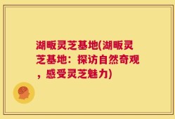 湖畈灵芝基地(湖畈灵芝基地：探访自然奇观，感受灵芝魅力)