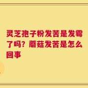 灵芝孢子粉发苦是发霉了吗？蘑菇发苦是怎么回事