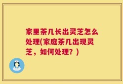家里茶几长出灵芝怎么处理(家庭茶几出现灵芝，如何处理？)