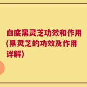 白底黑灵芝功效和作用(黑灵芝的功效及作用详解)