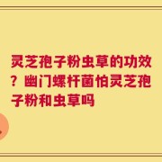 灵芝孢子粉虫草的功效？幽门螺杆菌怕灵芝孢子粉和虫草吗