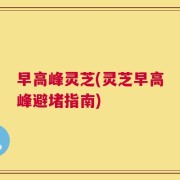 早高峰灵芝(灵芝早高峰避堵指南)