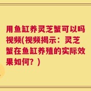 用鱼缸养灵芝蟹可以吗视频(视频揭示：灵芝蟹在鱼缸养殖的实际效果如何？)