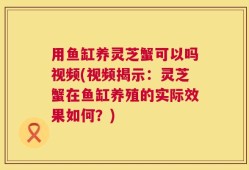 用鱼缸养灵芝蟹可以吗视频(视频揭示：灵芝蟹在鱼缸养殖的实际效果如何？)