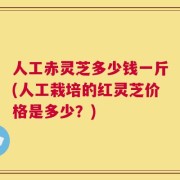 人工赤灵芝多少钱一斤(人工栽培的红灵芝价格是多少？)