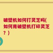 破壁机如何打灵芝吗(如何用破壁机打碎灵芝？)