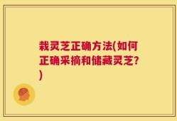 栽灵芝正确方法(如何正确采摘和储藏灵芝？)