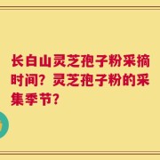 长白山灵芝孢子粉采摘时间？灵芝孢子粉的采集季节？