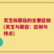 灵芝和蘑菇的主要区别(灵芝与蘑菇：区别与特点)