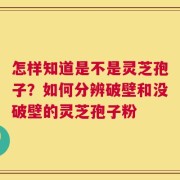 怎样知道是不是灵芝孢子？如何分辨破壁和没破壁的灵芝孢子粉