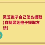 灵芝孢子自己怎么提取(自制灵芝孢子提取方法)
