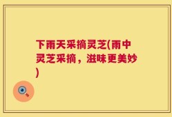 下雨天采摘灵芝(雨中灵芝采摘，滋味更美妙)